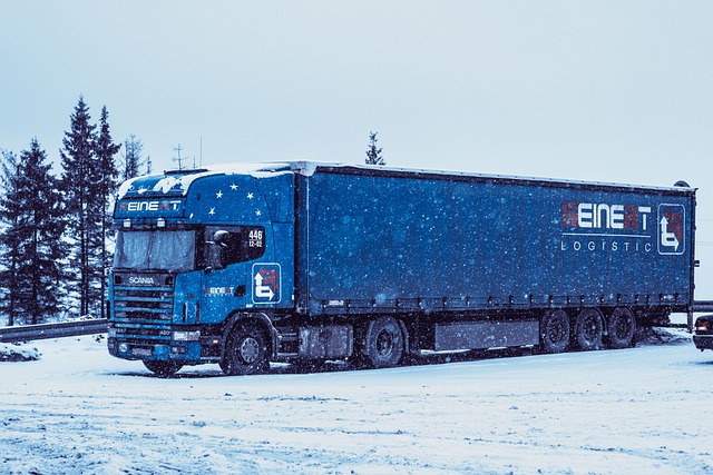 kamion ve sněhu